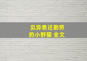 见异思迁勤劳的小野猫 全文